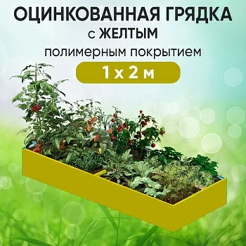 Грядка желтая (1 х 2)